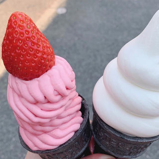 いちご×いちごソフト(大名ソフトクリーム 大名店)