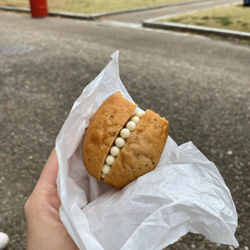 (テーラ テール )