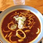 カレーうどん(うどん茶屋 海津屋 )