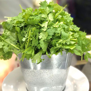 バケツパクチー(タイ屋台999新宿店)