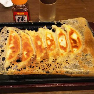 鉄板焼き餃子(ミライザカ 川崎砂子店)