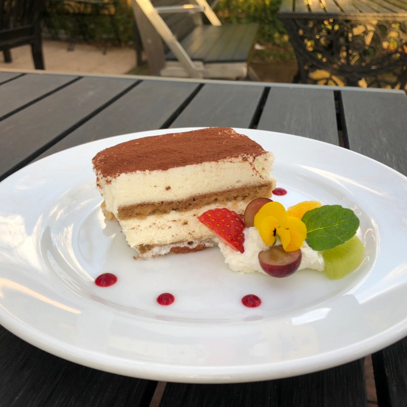 ティラミス(樹藝夢（ジュゲム）)