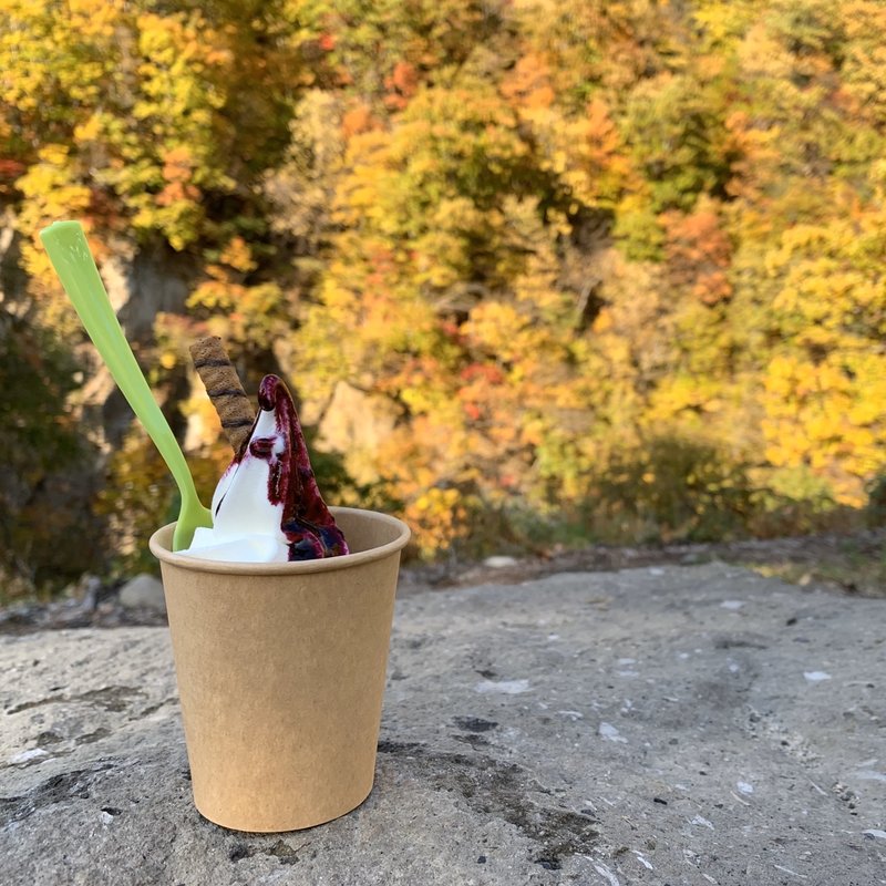 美瑛育ちのジャージーミルクソフト(Vergine Baccano)