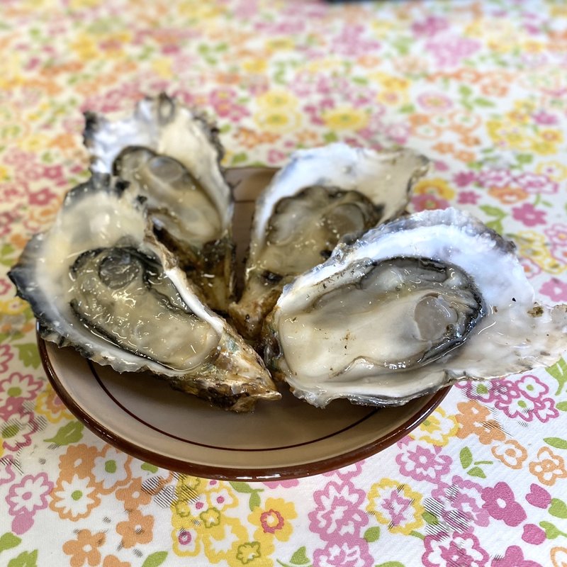 生牡蠣(中山牡蠣養殖所 )
