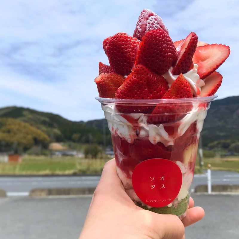 ミニモブレ(ソオタス シバタベリーファーム)