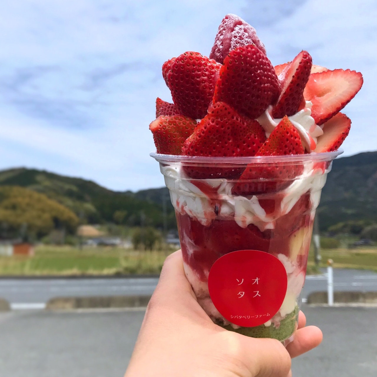 山口県で食べられるいちごパフェランキング Sarah サラ