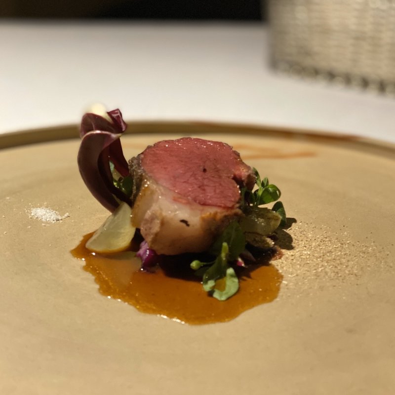 ユックの鹿(ラ・ヴァガボンド （LA VAGABONDE）)