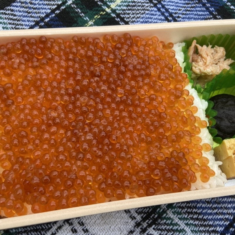 いくら丼(テイクアウト)(赤坂こみかん)