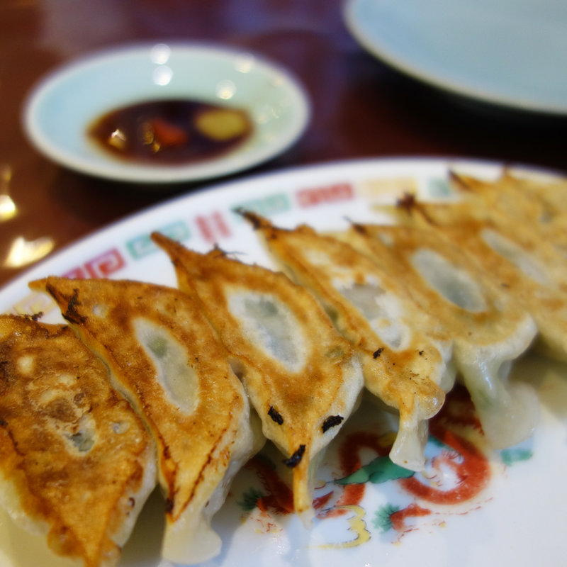 手作りの焼き餃子(宝島)