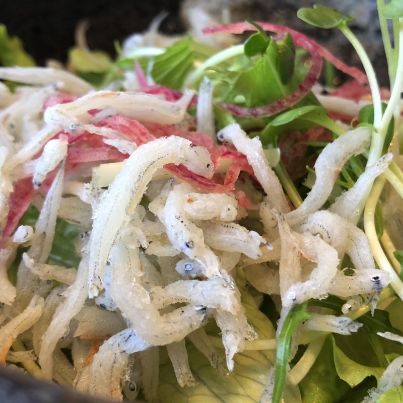 (サガミ 袋井店 （さがみ）)