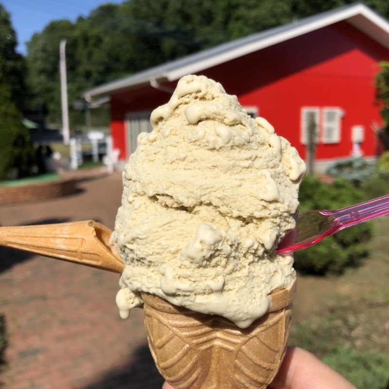 ピスタチオ シングルコーン(町田あいす工房 ラッテ 相原店 （LATTE）)