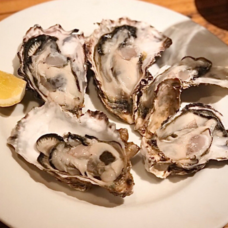 (トレビ （Trevi）)