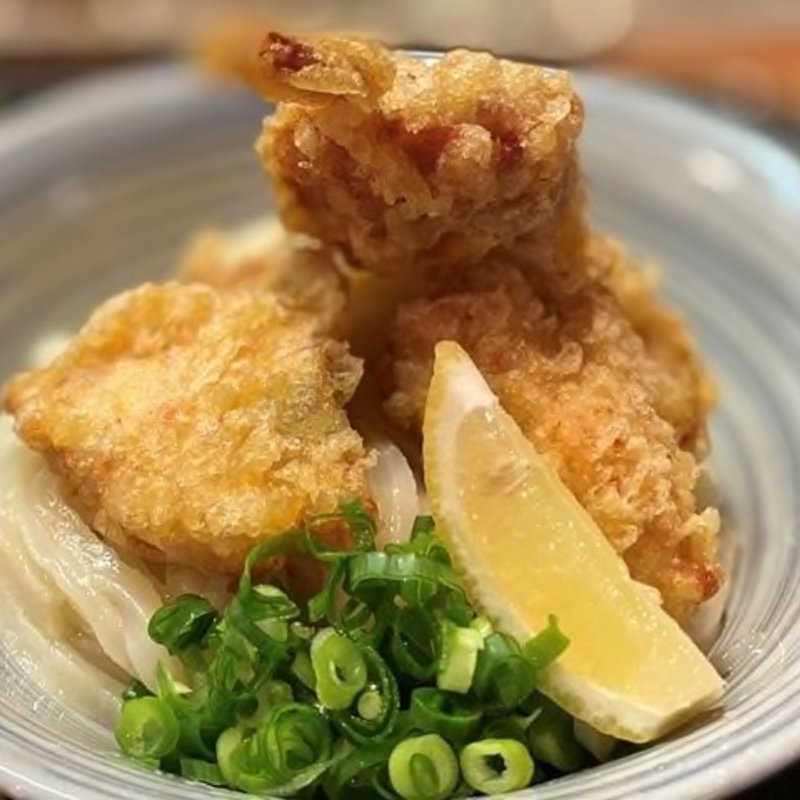 かしわ天ぶっかけ(麦きり トクオカ （むぎきりとくおか）)