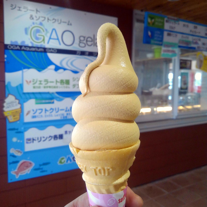 しょっつるソフト(GAO gela)