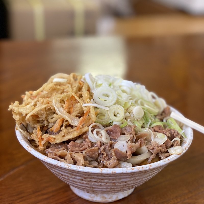 肉天うどん並　ねぎ(手打ちうどん　いち )