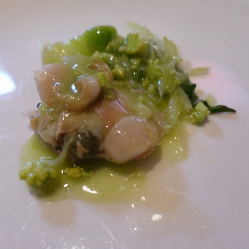 ハマグリとつぼみ菜とチコリとロマネスコ(Ushimaru)