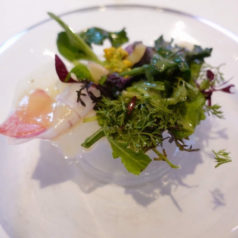 自家製菜園で取れたサラダ(Ushimaru)