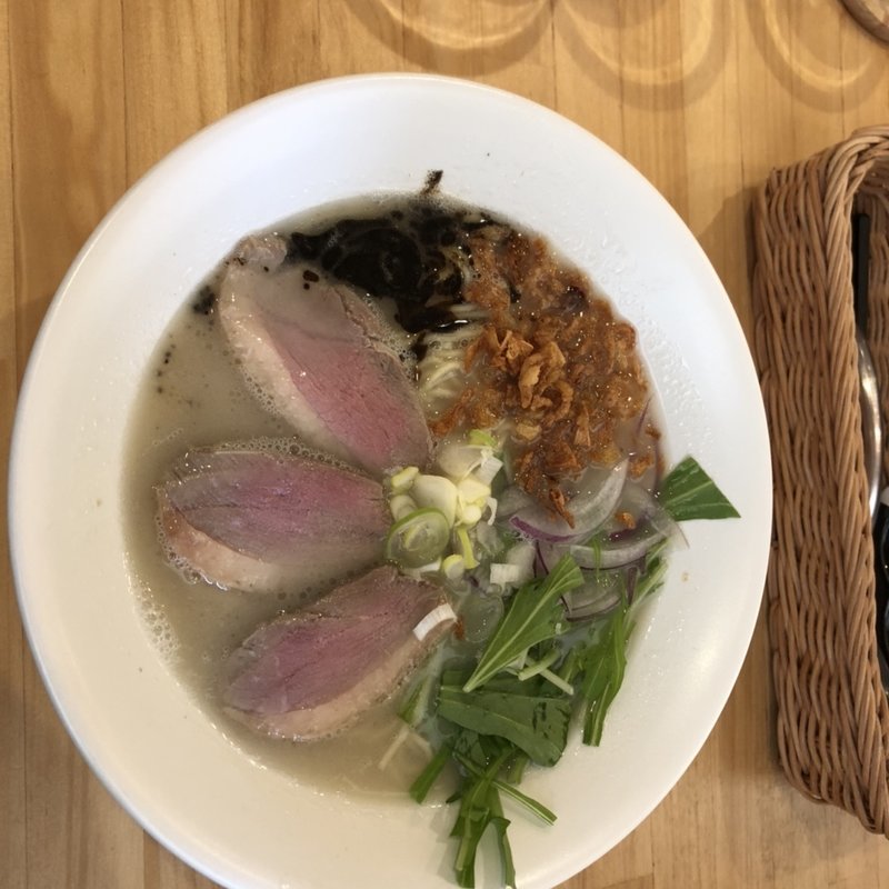 極鴨(ミネソラ)