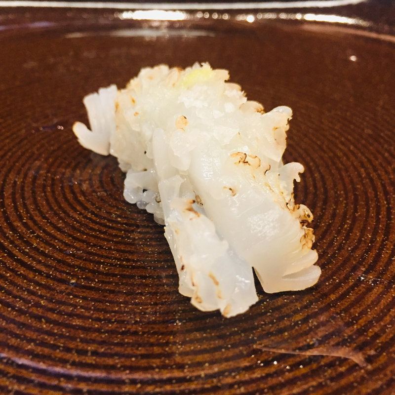 煽りイカの握り(紫光 （しこう）)