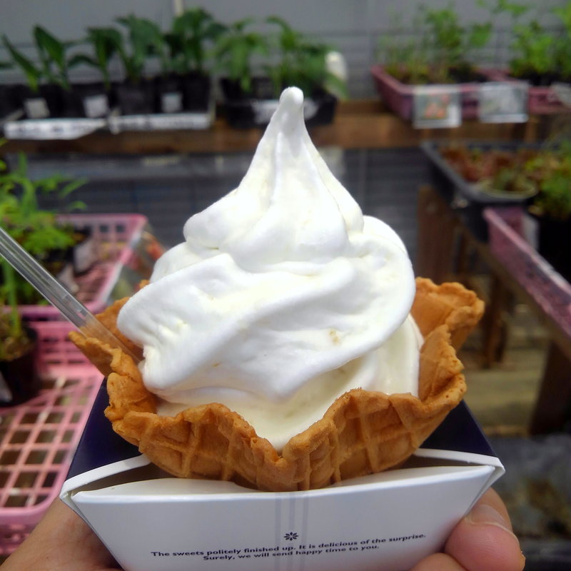 ブレンドソフト　ルバーブ(季節館食堂 )