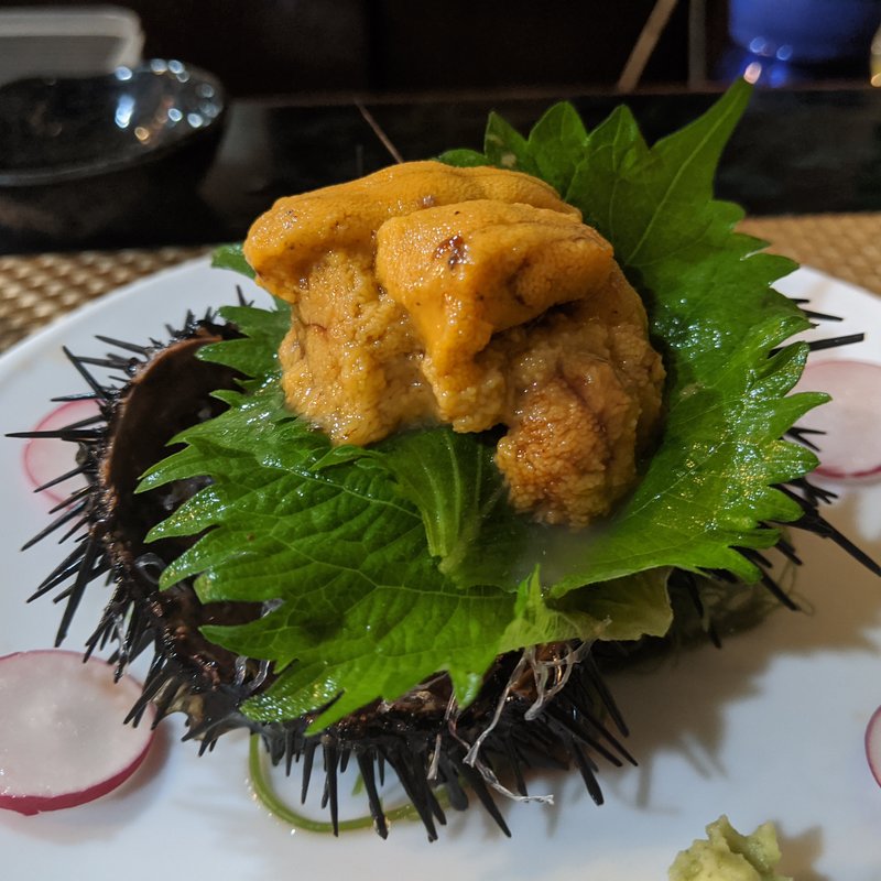 むさらきうに(ささめ)