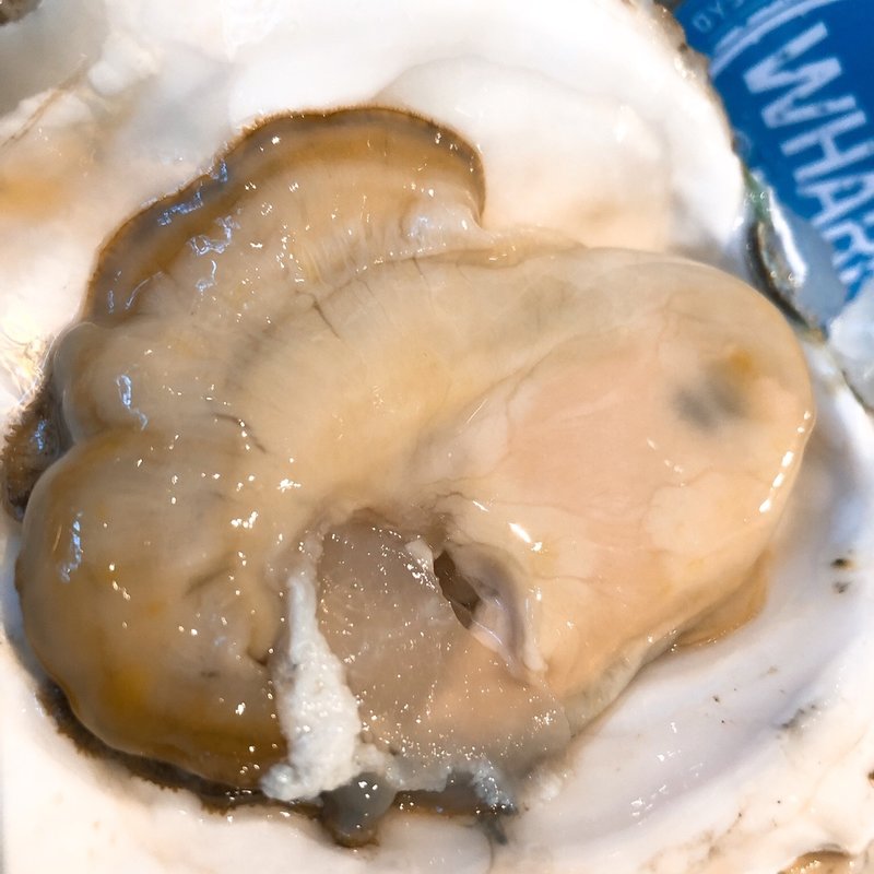 岩牡蠣(新宿オイスターバーワーフ)