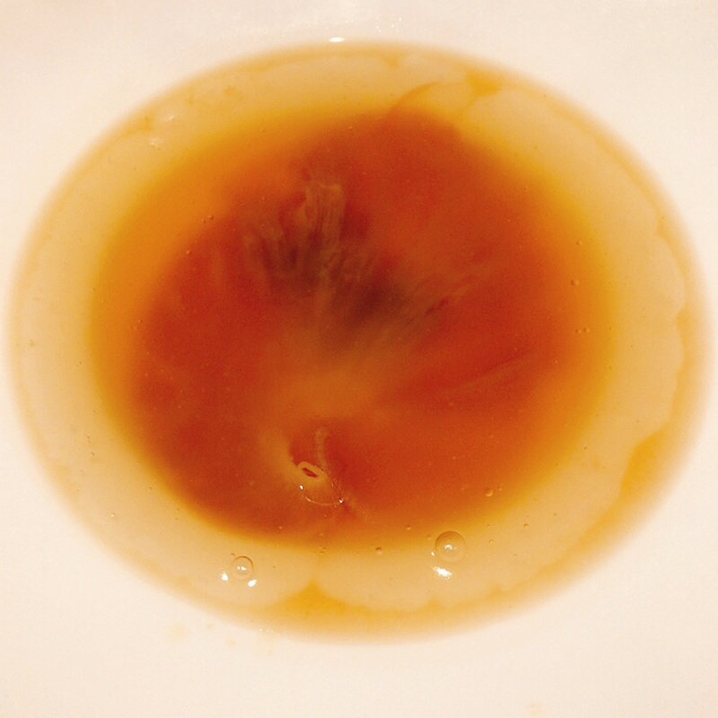 フカヒレ姿茶碗蒸し(すっぽん　田一)