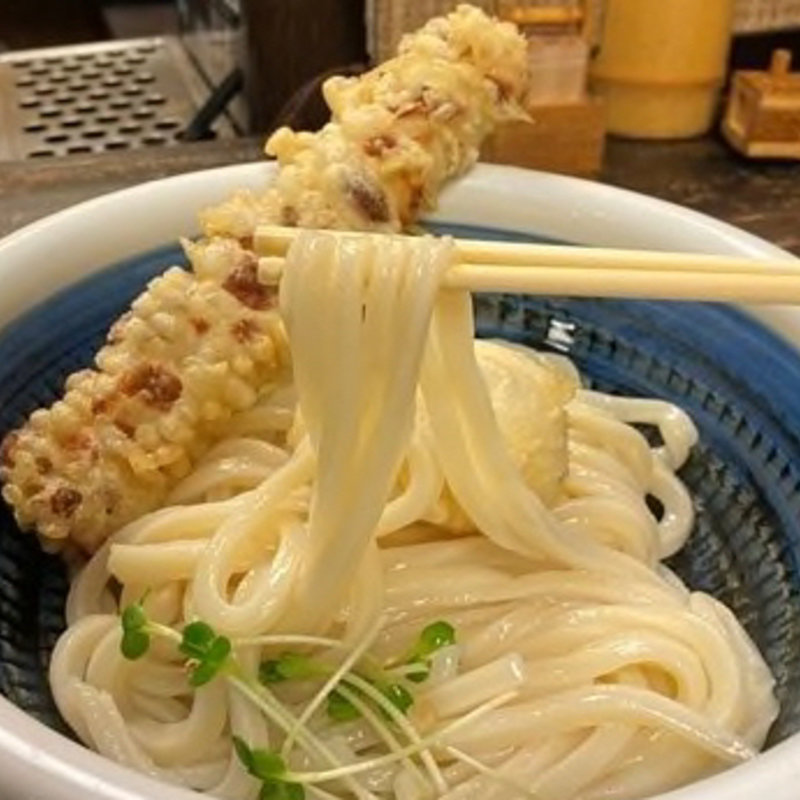 ちく玉天ぶっかけ(うどん 兎麦 umugi)