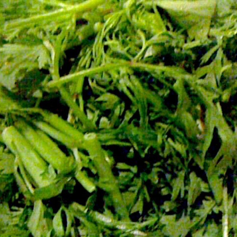 パクチー食べ放題(亜細亜食堂狛江サイゴン)