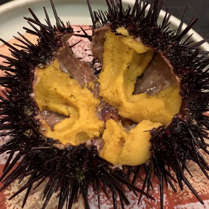 殻つきウニ(三陸居酒屋 きりや 中ノ橋店 )