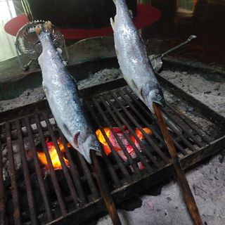 山女魚塩焼き(陽山亭)