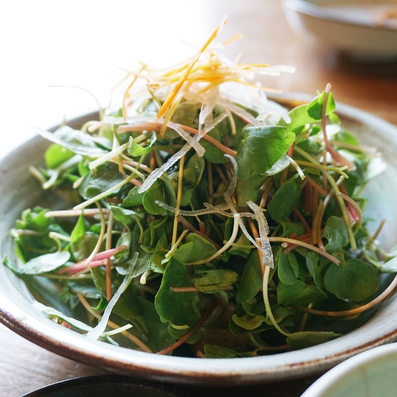 そばの芽サラダ(そばの芽料理とそばの店 木漏れ陽)