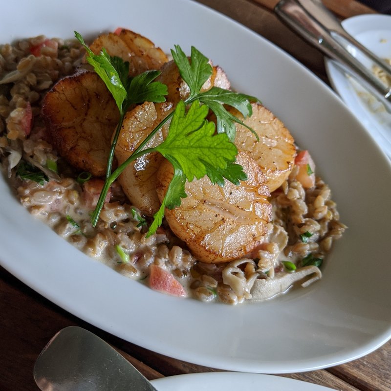 ホタテのローストとファロのリゾット(CICADA)
