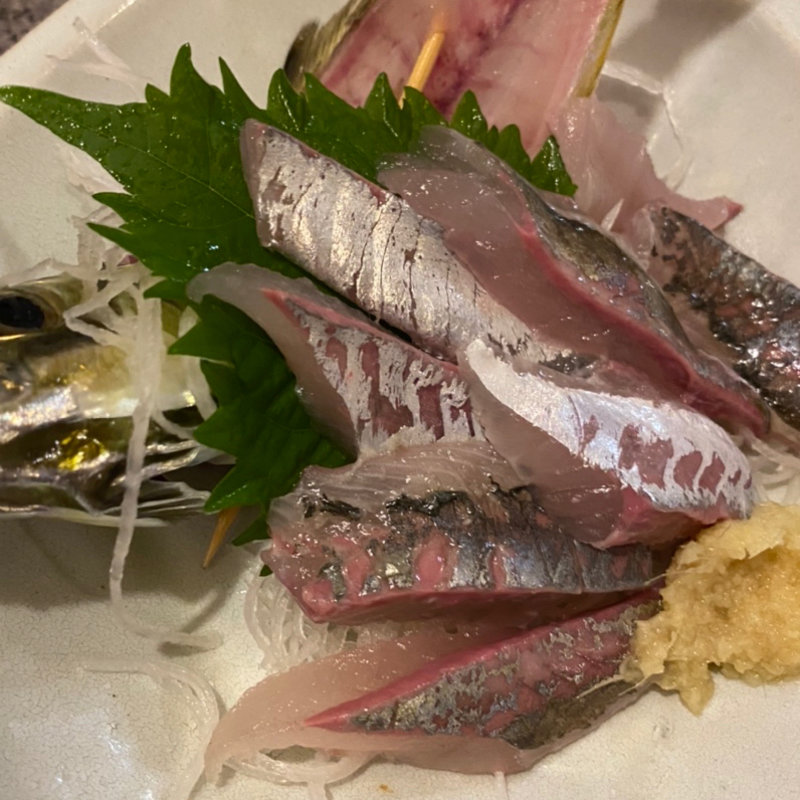 アジの刺身(たぬき 川口)