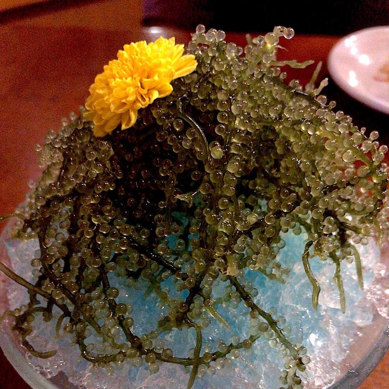 海ぶどう(琉球ダイニング 花花 鈴鹿店 （はなはな）)