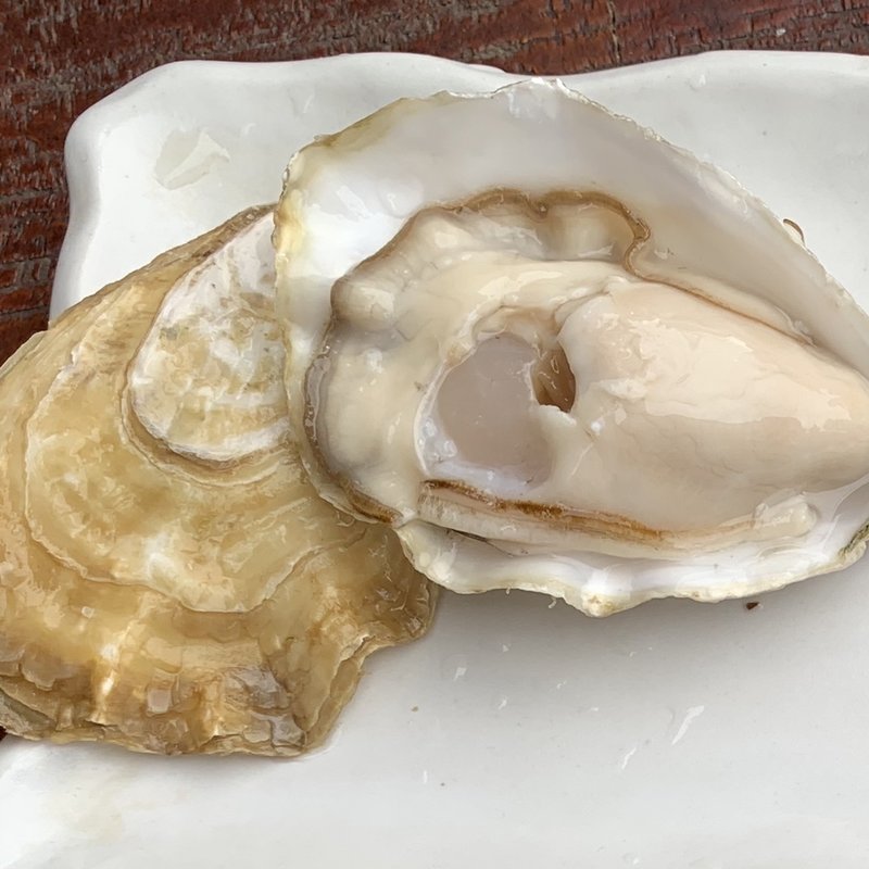 グレートオイスター　華蓮(がりばるでぃ根津)