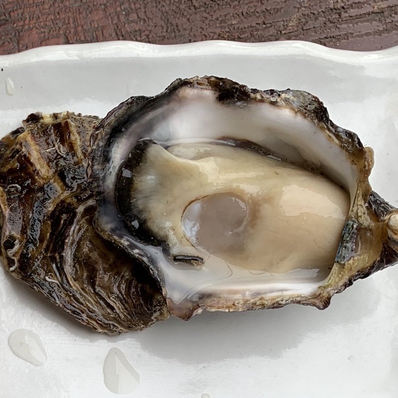 グレートオイスター　大河牡蠣(兵庫県赤穂)(がりばるでぃ根津)