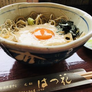 貞女そば(はつ花そば　本店)