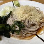 冷やしたぬきそば