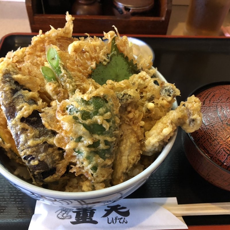 たっぷり野菜天丼(重天)
