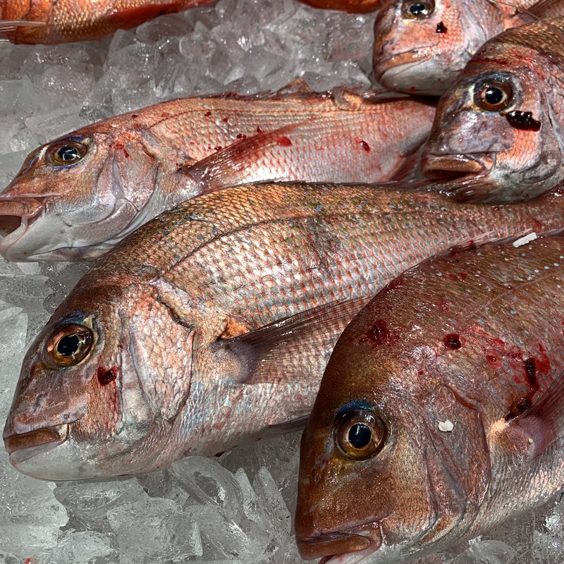 海鮮丼（小）(ラボラトリー)