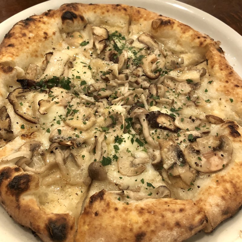 フンギ(マチルダ)