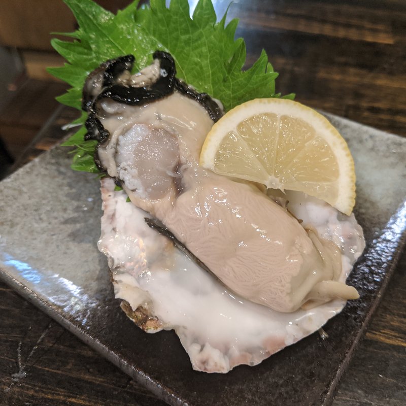 岩手大船渡産生かき(川合鮮魚店)