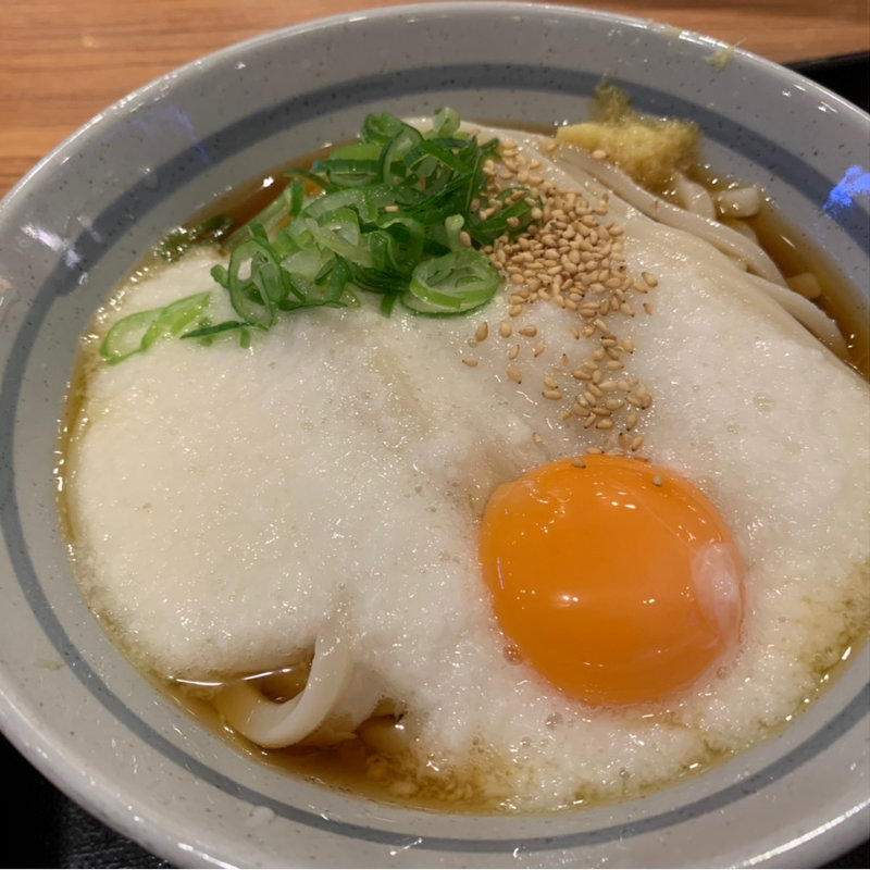 冷やし山かけうどん(親父の製麺所 秋葉原駅店)