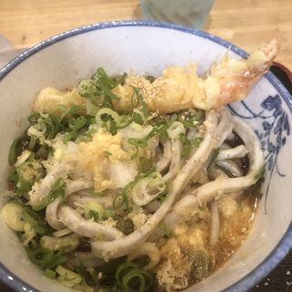 冷ぶっかけと海老天(うどん 讃く)