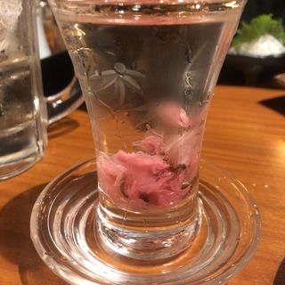 桜酒(蔵元居酒屋 清龍 高田馬場店)