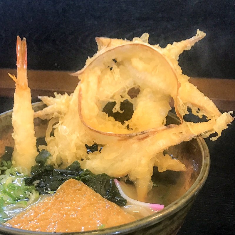 具だくさんうどん(大地のうどん 本店)