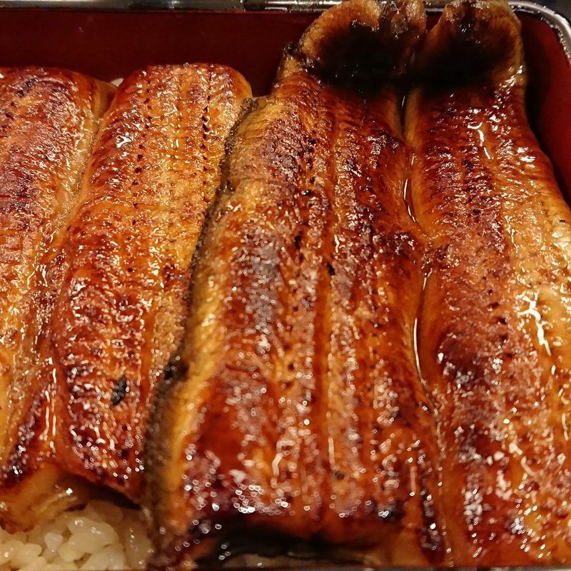 うな重・松 (肝吸い・香のもの付)(うなぎ割烹 うや川)