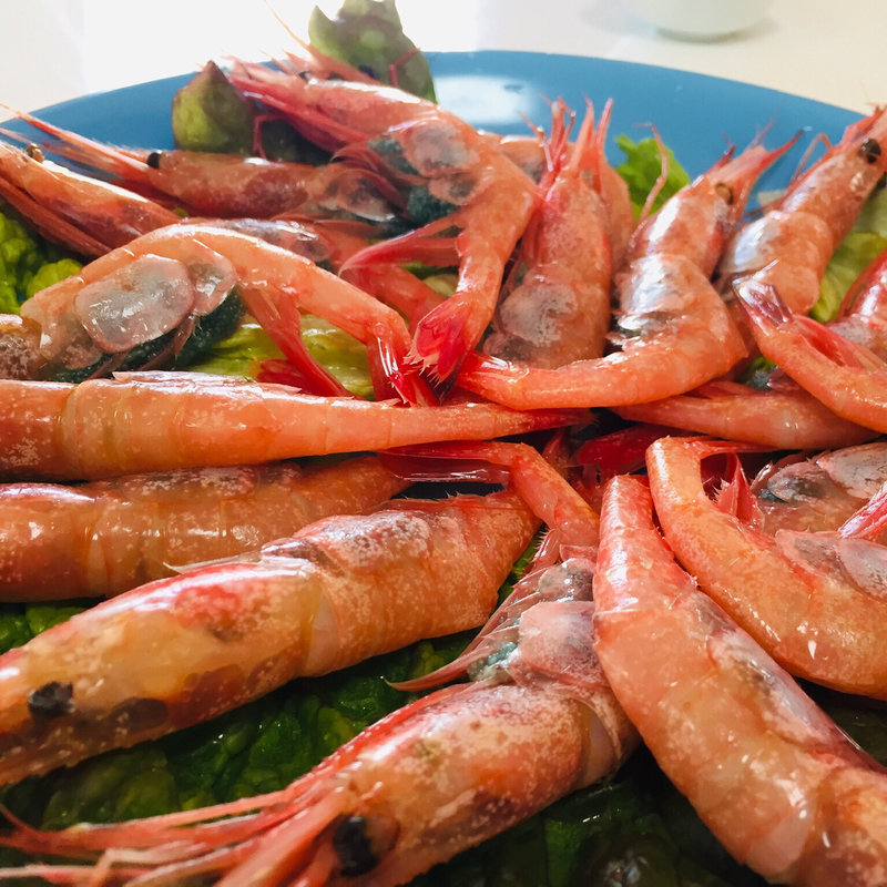福井県産子持ち甘海老(NONｓ” Kitchen橋)