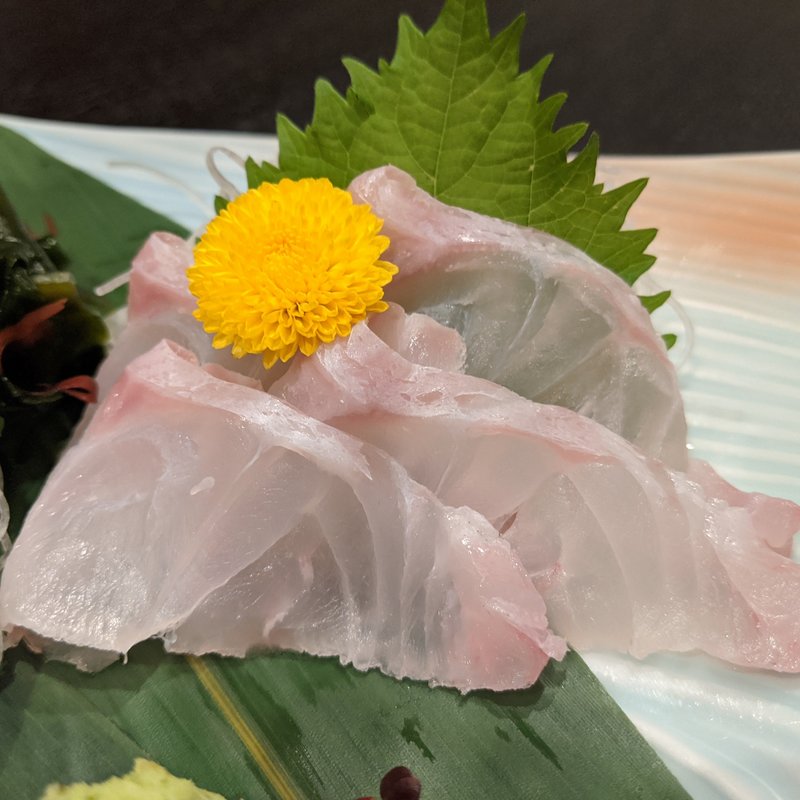 クエ刺し(満月いぶき)